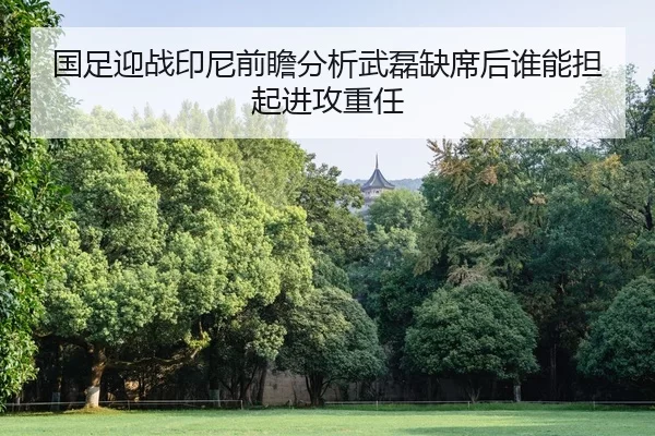 guo-zu-ying-zhan-yin-ni-qian-zhan-fen-xi-wu-lei-que-xi-hou-shui-neng-dan-qi-jin-gong-zhong-ren-1-235.jpg
