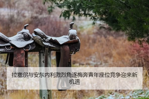 拉塞尔与安东内利激烈角逐梅奔青年座位竞争迎来新机遇
