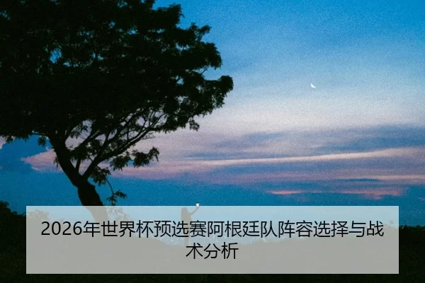 nian-shi-jie-bei-yu-xuan-sai-a-gen-ting-dui-zhen-rong-xuan-ze-yu-zhan-shu-fen-xi-2-376.jpg