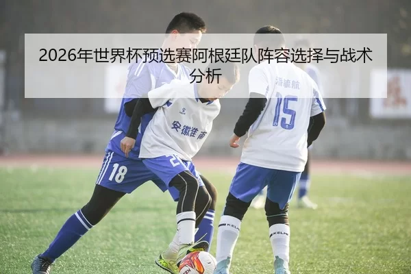 2026年世界杯预选赛阿根廷队阵容选择与战术分析