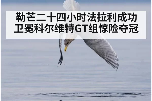 勒芒二十四小时法拉利成功卫冕科尔维特GT组惊险夺冠