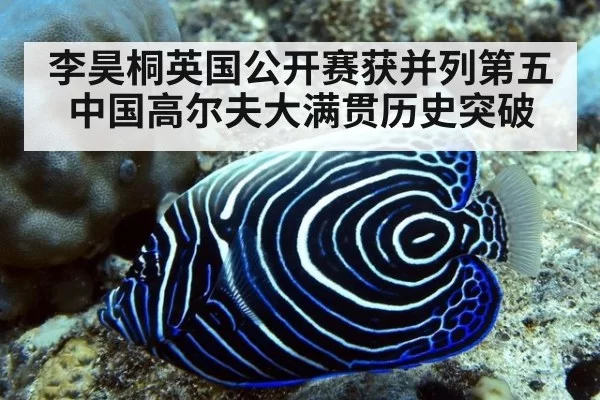 李昊桐英国公开赛获并列第五 中国高尔夫大满贯历史突破